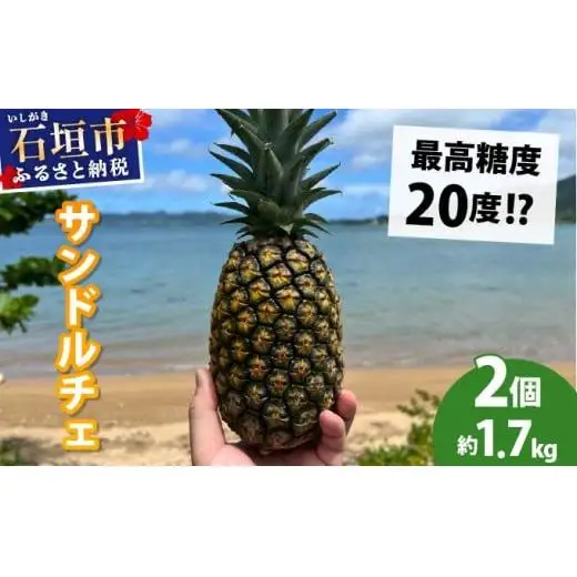 石垣島産完熟サンドルチェ 2個セット