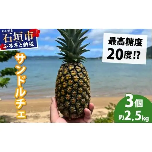 石垣島産完熟サンドルチェ 3個セット