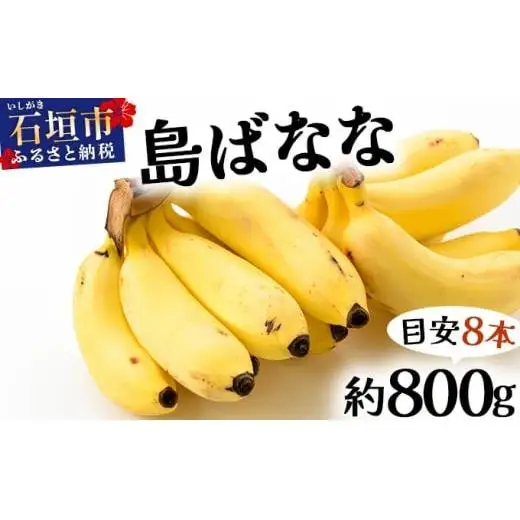 『プレミアム島ばなな』をお届け！！800g(約8本)