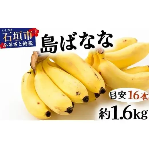 『プレミアム島ばなな』を大容量でお届け！！1.6kg(約16本)