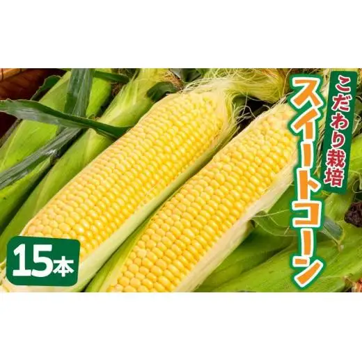 【先行予約2027年1月-5月配送】1番遅くて1番早い⁉ 朝採れプレミアムスイートコーンを皮付きのまま15本お届け！！