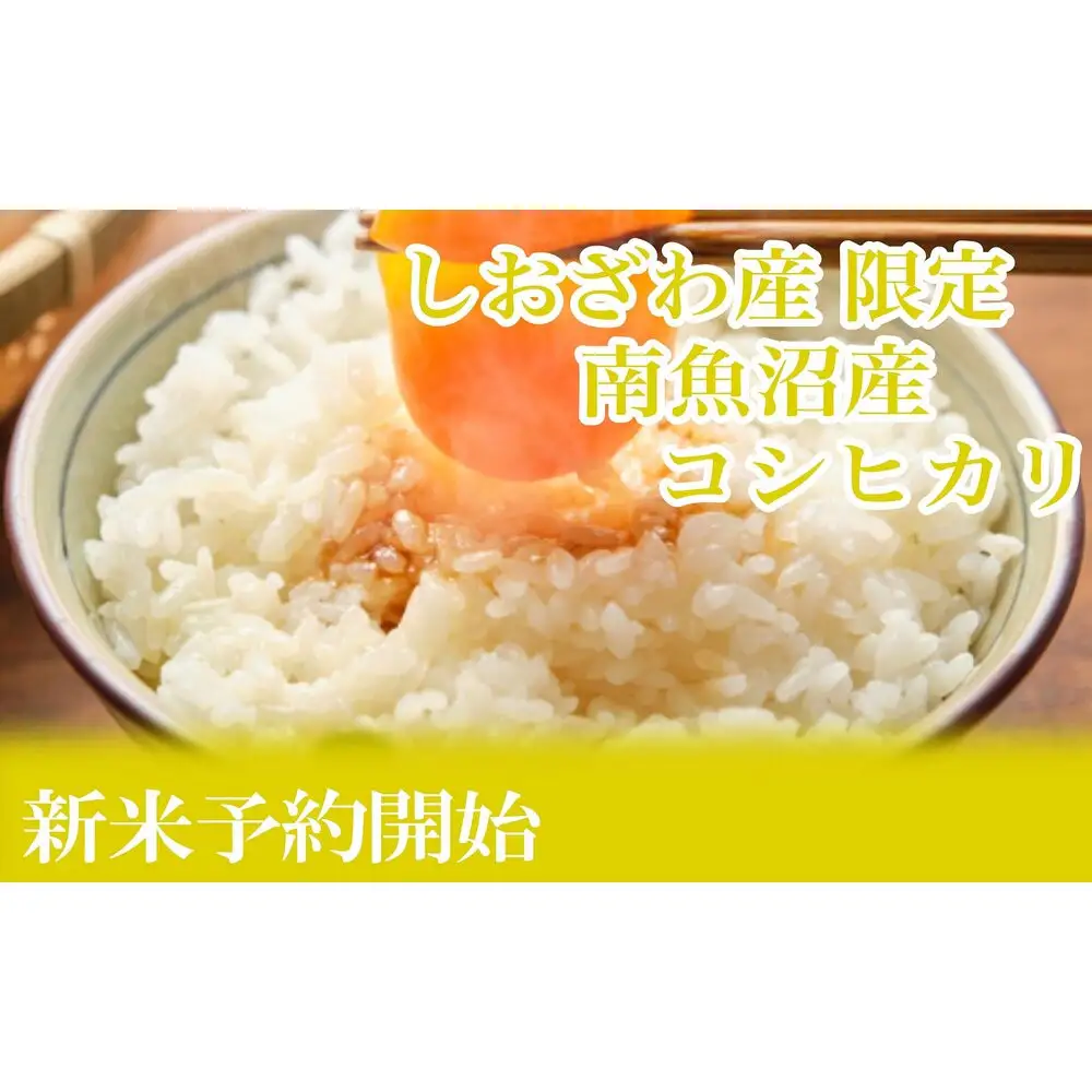 【令和8年産　新米予約】定期便３ヶ月：精米5kgしおざわ産限定 南魚沼産コシヒカリ【定期便 銘柄米 ブランド米 精米 こしひかり コシヒカリ 魚沼産 新潟米 お米 米】【2026年10月上旬から1ヶ月以内に順次発送予定】