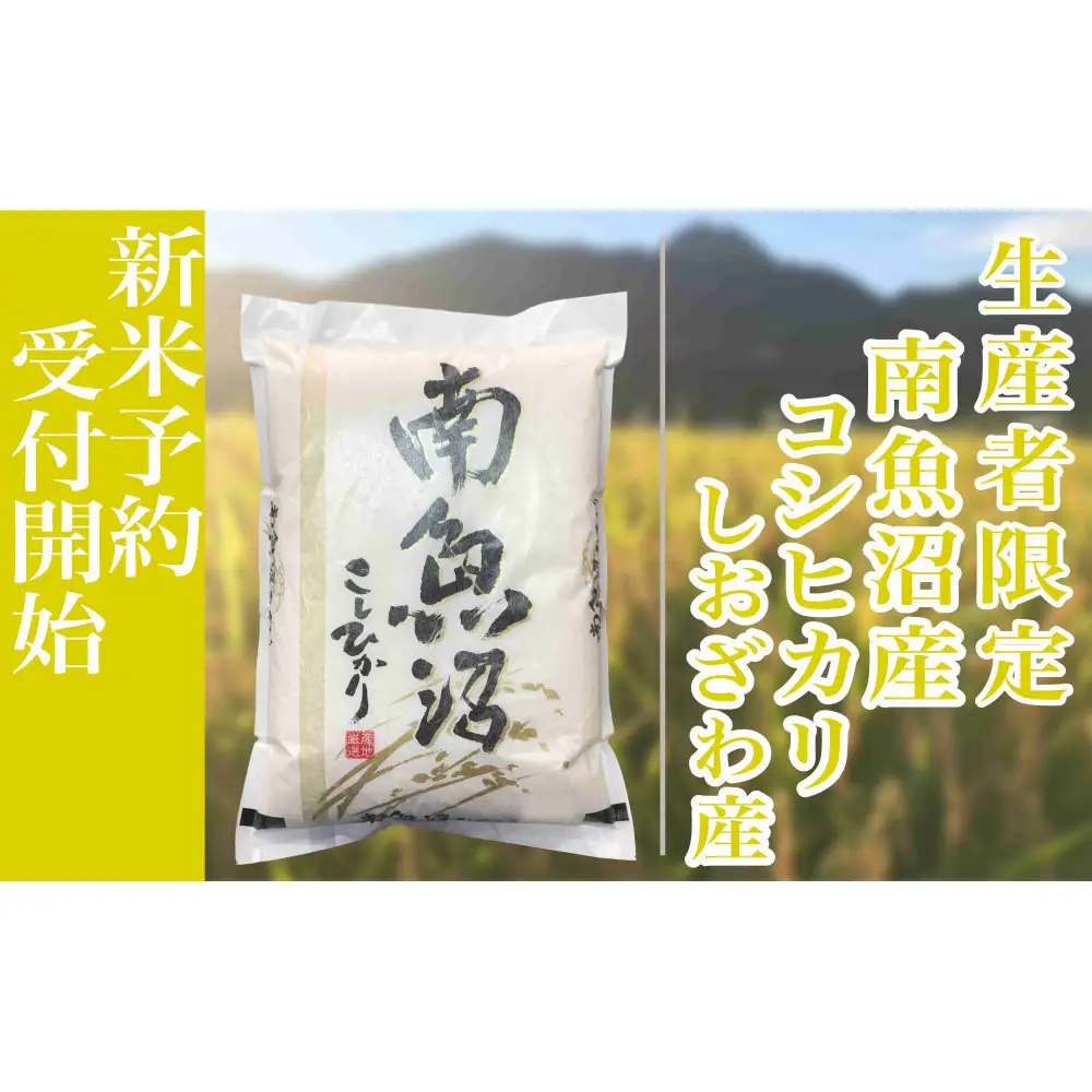 【令和8年産　新米予約】定期便３ヶ月：精米10kg生産者限定 南魚沼しおざわ産コシヒカリ【定期便 銘柄米 ブランド米 精米 こしひかり コシヒカリ 魚沼産 新潟米 ごはん】【2026年10月上旬から1ヶ月以内に順次発送予定】