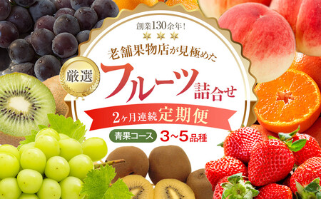 【2ヶ月連続定期便】厳選フルーツ詰合せ【青果コース】3～5品種