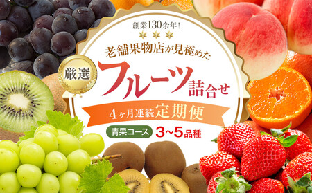 【4ヶ月連続定期便】厳選フルーツ詰合せ【青果コース】3～5品種