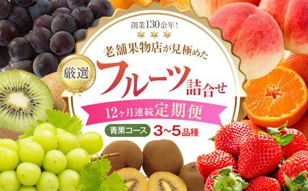 【12ヶ月連続定期便】厳選フルーツ詰合せ【青果コース】3～5品種