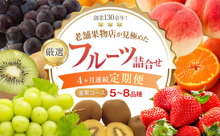 【4ヶ月連続定期便】厳選フルーツ詰合せ【金果コース】5～8品種