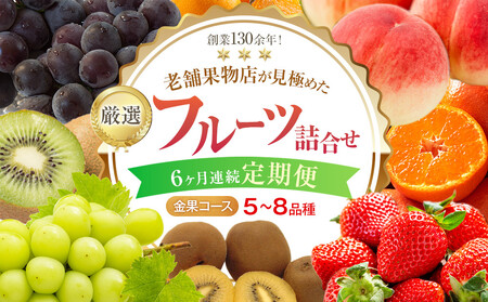 【6ヶ月連続定期便】厳選フルーツ詰合せ【金果コース】5～8品種