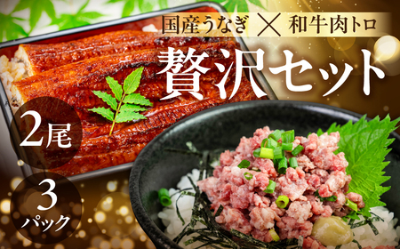 国産うなぎ&牛肉トロ セット うなぎ 牛肉