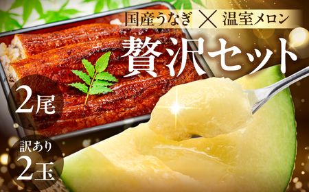 国産うなぎ & 温室メロン 農家直送 セット 鰻