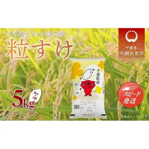 【最短2～7営業日出荷】令和7年産 千葉県産「粒すけ」5kg（5kg×1袋） お米 5kg 千葉県産 大網白里市 粒すけ 米 精米 こめ 送料無料 A053