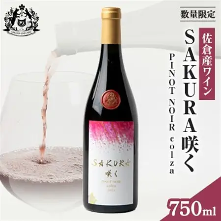 【数量限定】佐倉産初のワイン!ピノ・ノワール2023　750ml×1本【配送不可地域：離島】【1637206】