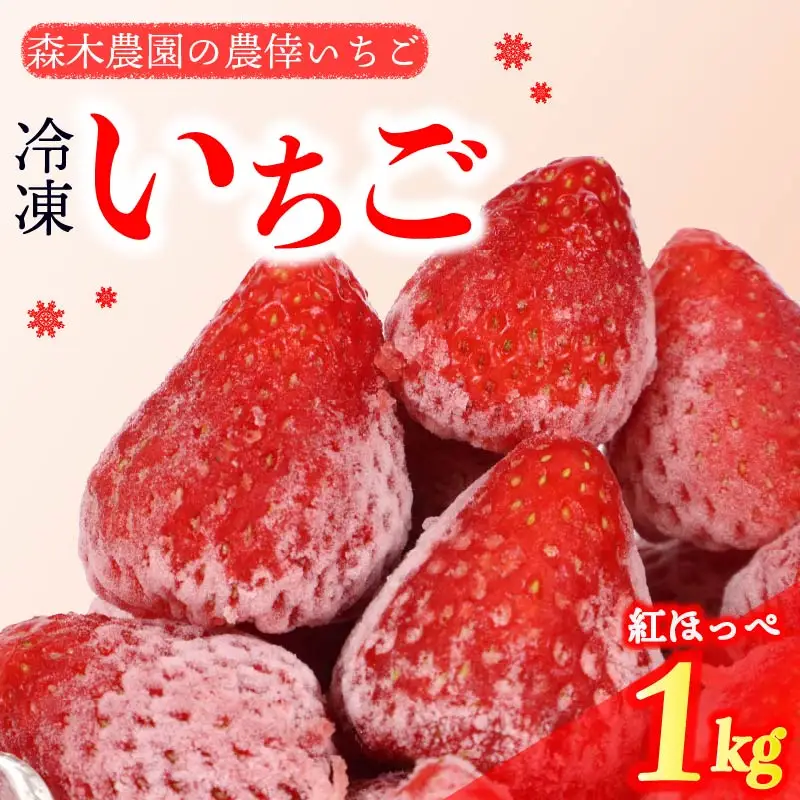 冷凍いちご いちご 1kg 冷凍いちご