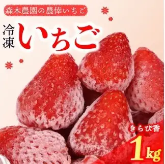 冷凍いちご いちご 1kg きらぴ香 冷凍いちご