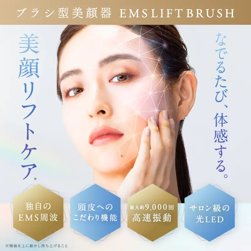 NIPLUX 美顔器 ブラシ型 リフトケア EMS LIFT BRUSH NP-ELB23SV 電気