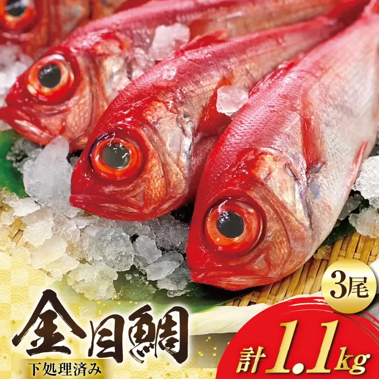 AJ436 金目鯛 特大サイズ (300～400g) 3尾 計1.1kg程度 ＜ 下処理済み ＞ [長崎県 島原市]