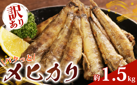 【訳あり】パクっとメヒカリ 約1.5kg メヒカリ