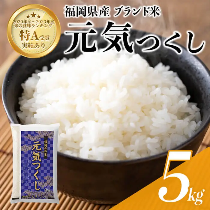 ＜数量限定＞元気つくし 精白米 (5kg)お米 米 精白米  国産 福岡県産 ブランド米 5kg 数量限定 常温＜北海道・沖縄・離島配送不可＞【ksg1780】