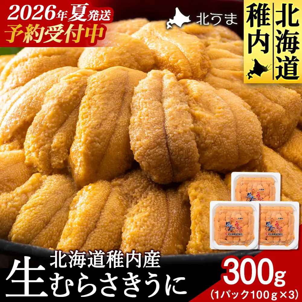 【先行予約】【うにの名産地稚内市】最北端の生むらさきうに(100gパック×3) うに ウニ ムラサキウニ