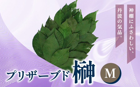 プリザーブド 榊 Mサイズ（1対 2束）プリザーブドフラワー