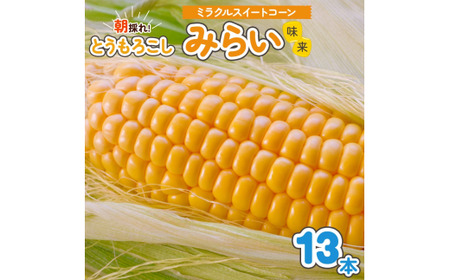 朝採れとうもろこし みらい (味来) 13本入 [0733]