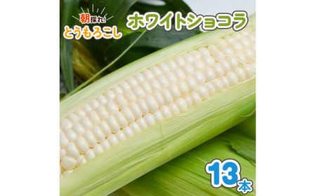 朝採れとうもろこし ホワイトショコラ 13本入 [0735]