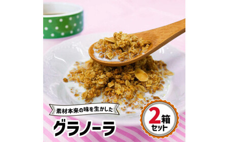 グラノーラ 2箱セット [0467]