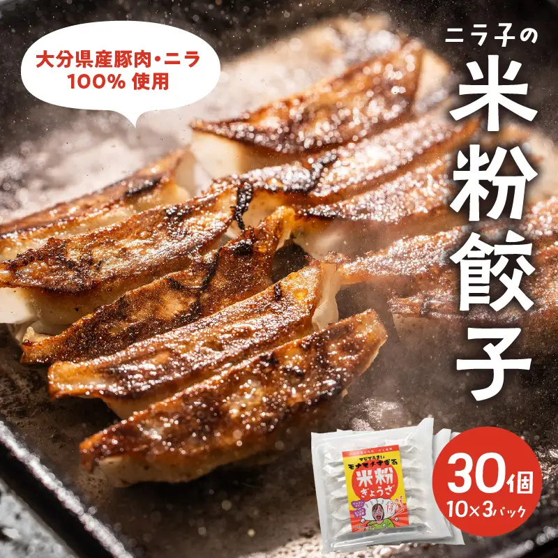 マジでうまい！モチモチすぎるニラ子の米粉ぎょうざ 大分県産豚肉・にら100%使用(ニラ醤油タレ付) 10個入り3パック A02037
