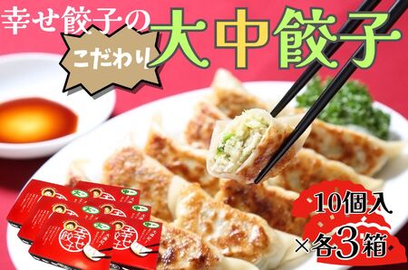 幸せ餃子のボリューム満点こだわり大・中餃子（各３箱） 
