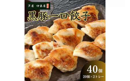 芦屋 伊東屋 謹製 黒豚 一口餃子 40個（醤油タレ 付き）