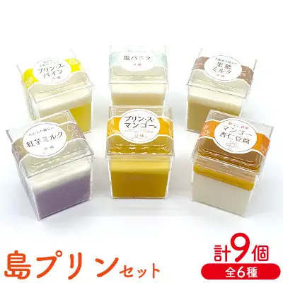 島プリンセット　1箱(9個セット)全6種 おきぽた プリン 杏仁 豆腐 マンゴー スイーツ 専門店 マンゴープリン 黒糖 パイン 濃厚 新食感 人気 おすすめ 沖縄 お土産 プレゼント 贈り物 ギフト お取り寄せ