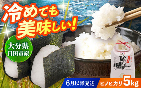 【先行予約・26年6月以降発送】令和7年産大分県産ヒノヒカリ 5kg　日田市 / JAおおいた日田グリーンセンター こめ コメ 米[ARDX012]
