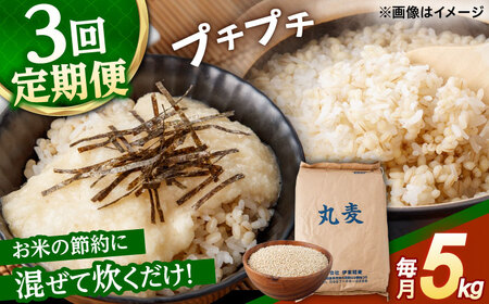 もち麦よりも『ぷりっ』とした弾力 【3回定期便】長崎県産 丸麦 5kg / 麦 むぎ 雑穀 雑穀米 麦ごはん 麦飯 麦みそ 食物繊維 / 諫早市 / 有限会社伊東精麦 [AHBU014]