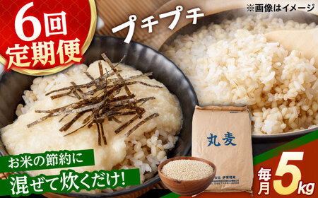 もち麦よりも『ぷりっ』とした弾力 【6回定期便】長崎県産 丸麦 5kg / 麦 むぎ 雑穀 雑穀米 麦ごはん 麦飯 麦みそ 食物繊維 / 諫早市 / 有限会社伊東精麦 [AHBU015]