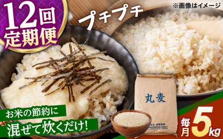 もち麦よりも『ぷりっ』とした弾力 【12回定期便】長崎県産 丸麦 5kg / 麦 むぎ 雑穀 雑穀米 麦ごはん 麦飯 麦みそ 食物繊維 / 諫早市 / 有限会社伊東精麦 [AHBU016]