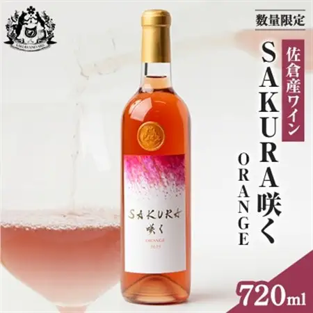 【数量限定】佐倉産初のワイン!ピノ・グリのオレンジワイン　720ml×1本【配送不可地域：離島】【1637211】