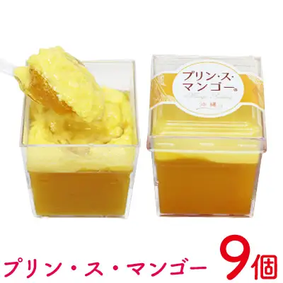 プリン・ス・マンゴー　1箱(9個セット) おきぽた プリン マンゴー スイーツ 専門店 贅沢プリン トロピカルプリン マンゴープリン 濃厚 新食感 絶品 ロングランセラー 人気 おすすめ 沖縄 お土産 プレゼント 贈り物 ギフト お取り寄せ
