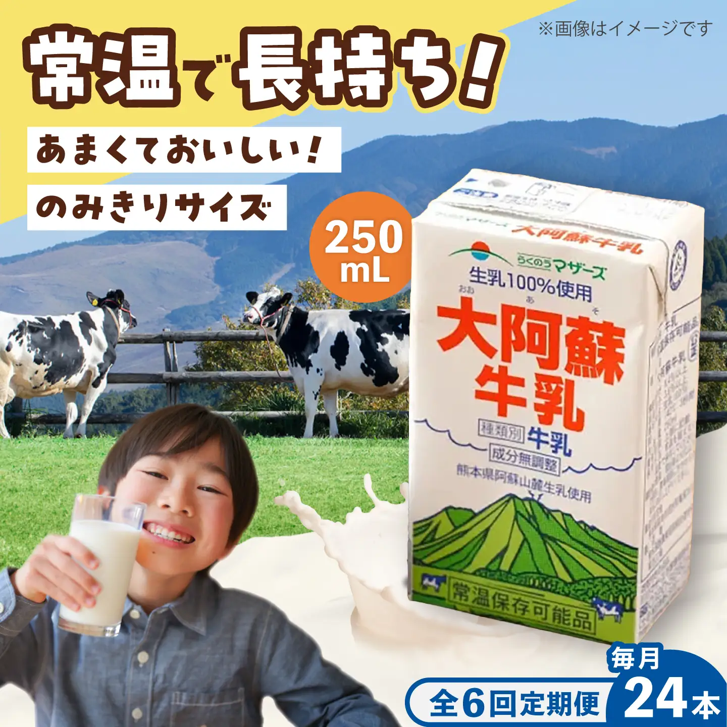 【全6回定期便】大阿蘇 牛乳 250ml24本入り 牛乳 BHBY023