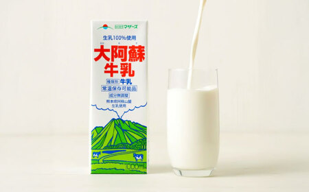 【全6回定期便】大阿蘇 牛乳 1000ml 紙パック 6本入 牛乳 BHBY025