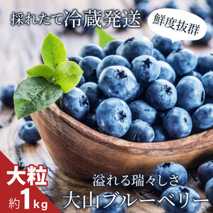MS-31　新鮮生ブルーベリー1kg（6月採れ）