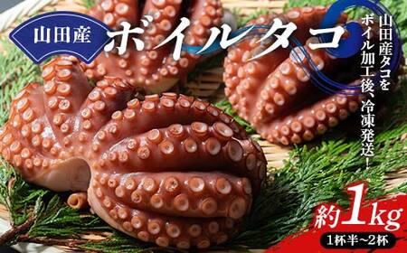 【大容量】三陸山田産 ボイル タコ 1kg 国産 三陸山田 山田町 海産品 山田湾 蛸 タコ たこ 刺身 タコ飯 たこ焼き タコ焼き 唐揚げ タコ唐揚げ たこ唐揚げ マリネ カルパッチョ YD-876