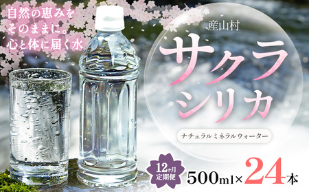 【12ヶ月定期便】天然水 サクラシリカ 500ml × 24本 みずの里 天然水