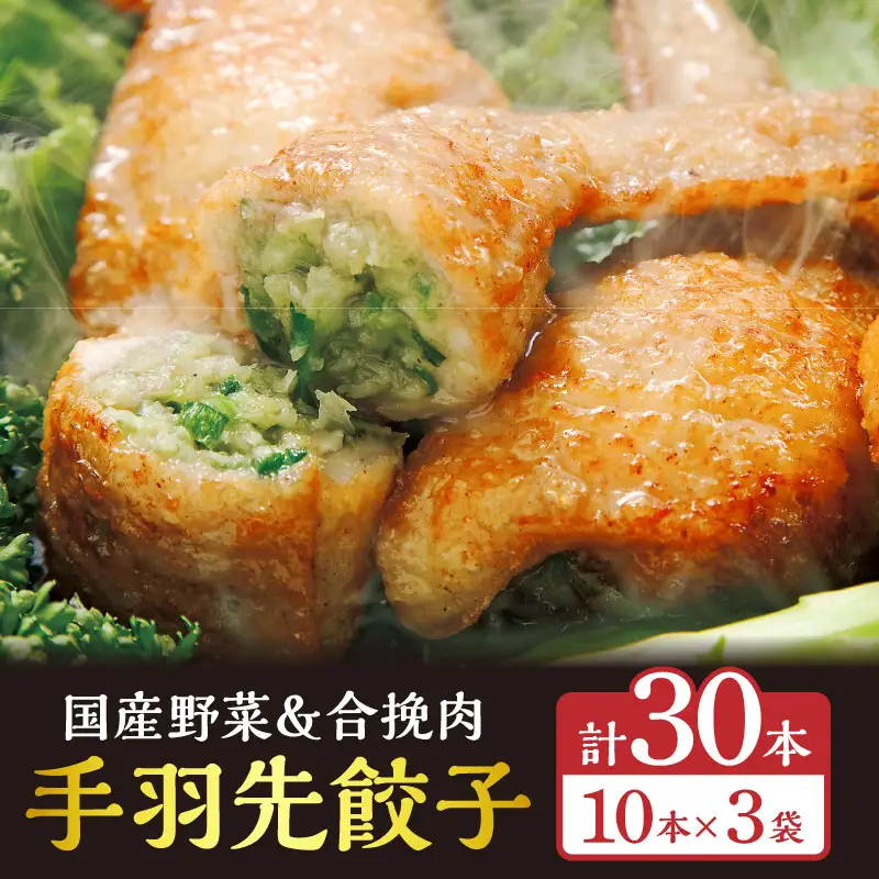 手羽先餃子30本入り 餃子 ぎょうざ 手羽餃子 手羽先餃子 おススメ おかず お惣菜 惣菜 お取り寄せ グルメ 名物 手羽