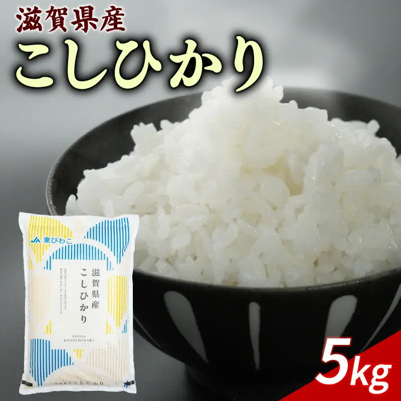 こしひかり 白米5kg コシヒカリ (令和7年産)