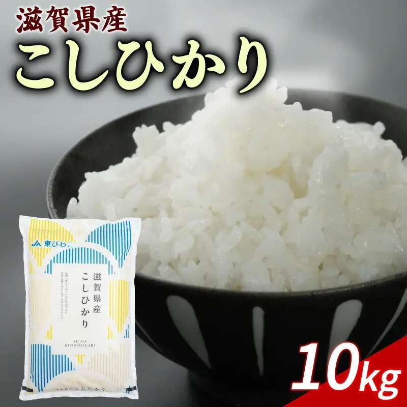 こしひかり 白米10kg コシヒカリ (令和7年産米)