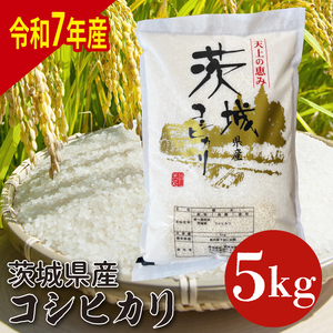 【数量限定】【令和7年産】茨城県産コシヒカリ 5kg (HQ-201)