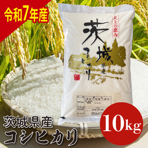 【数量限定】【令和7年産】茨城県産コシヒカリ 10kg (HQ-202)