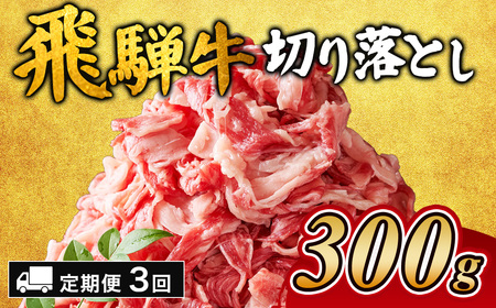 【3ヵ月定期便】飛騨牛切り落とし 300g ｜国産 和牛 牛肉