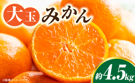 【先行受付】大玉みかん 約4.5kg | 大玉みかん 大玉 みかん ミカン 蜜柑 オレンジ 柑橘 柑橘系 果物 フルーツ 青果 おすすめ お取り寄せ ギフト 香川県 三木町 |_mk006-055