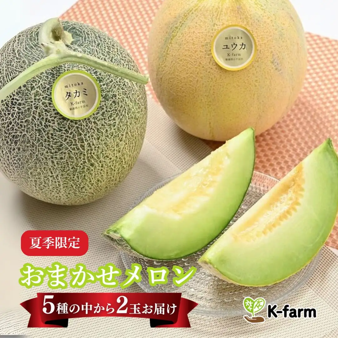 K-farmのこだわりメロン 5種類の中から おまかせ 厳選 2玉